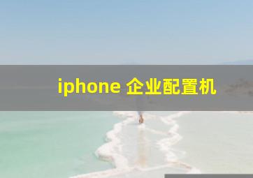 iphone 企业配置机